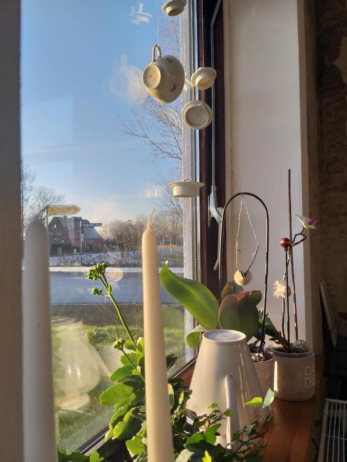 Ahoi Bed and Breakfast Wesselburenerkoog Eksteriør billede